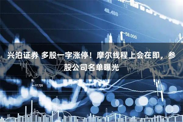 兴泊证券 多股一字涨停！摩尔线程上会在即，参股公司名单曝光