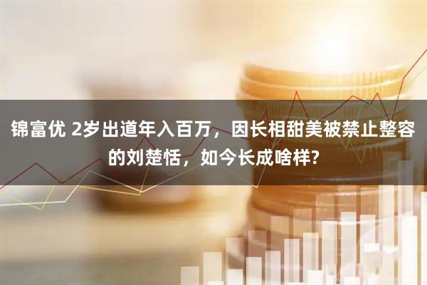 锦富优 2岁出道年入百万，因长相甜美被禁止整容的刘楚恬，如今长成啥样?