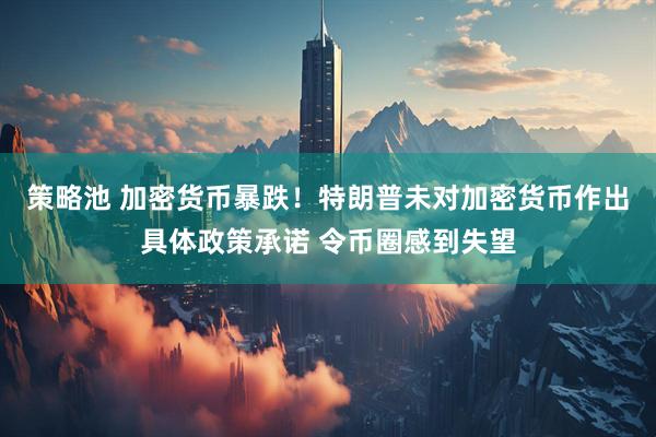 策略池 加密货币暴跌！特朗普未对加密货币作出具体政策承诺 令币圈感到失望