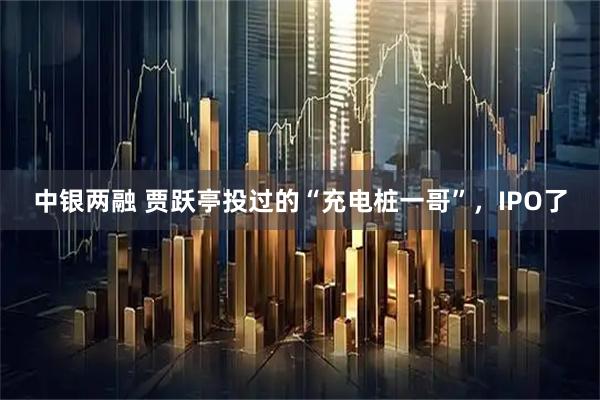 中银两融 贾跃亭投过的“充电桩一哥”，IPO了