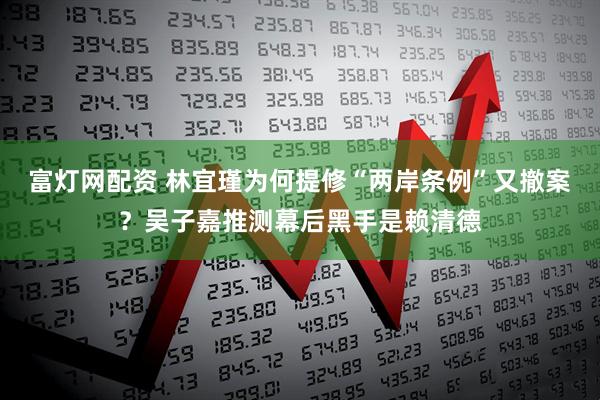 富灯网配资 林宜瑾为何提修“两岸条例”又撤案？吴子嘉推测幕后黑手是赖清德