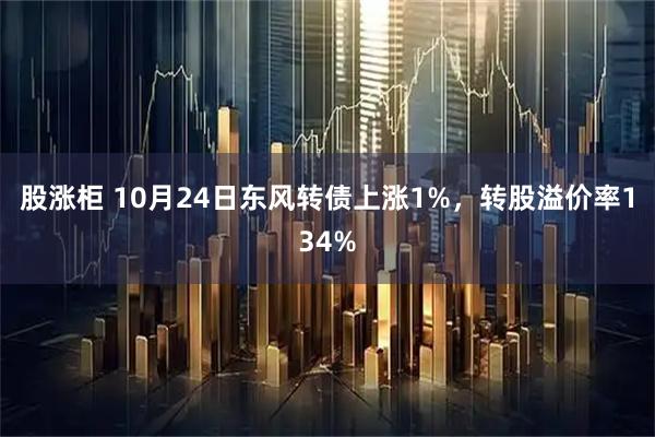 股涨柜 10月24日东风转债上涨1%，转股溢价率134%