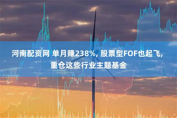 河南配资网 单月赚238%, 股票型FOF也起飞, 重仓这些行业主题基金